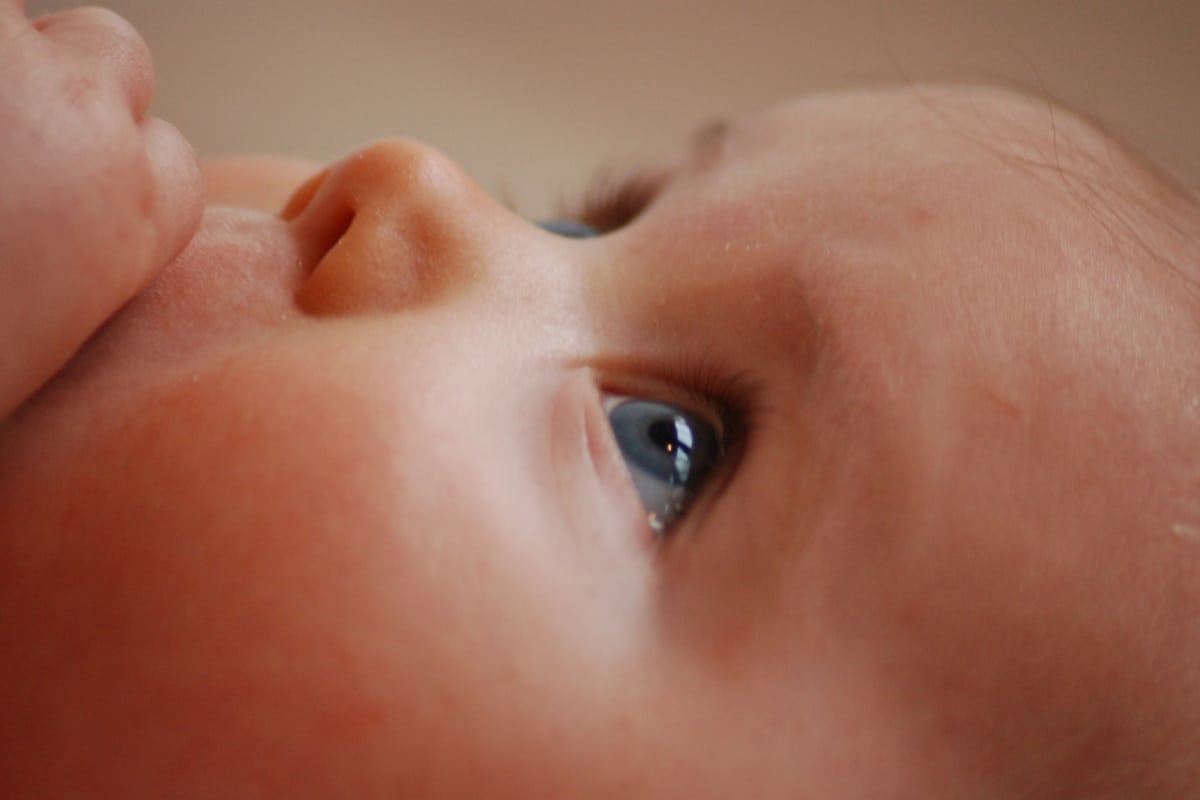proteger bebe perturbateurs endocriniens