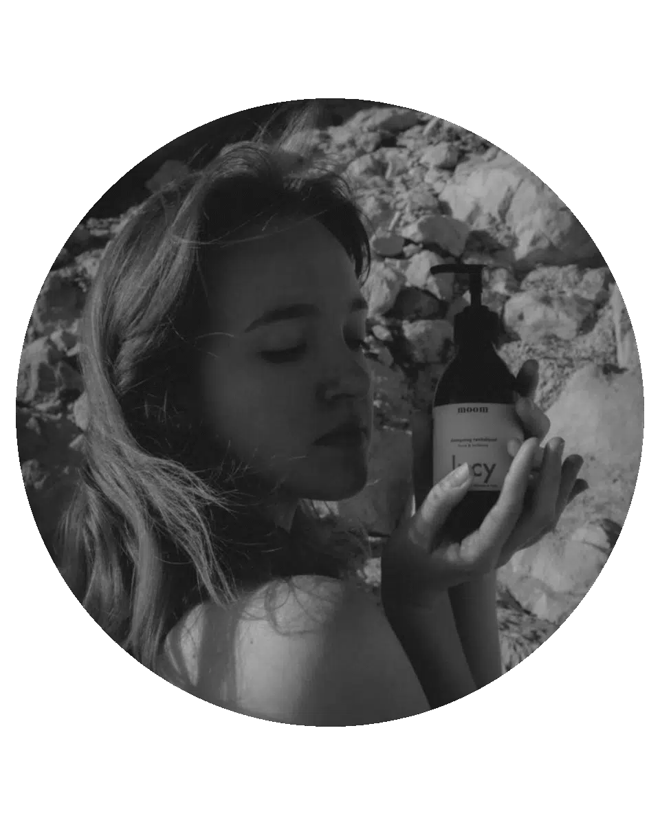 lily new