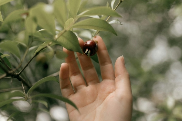 article guide cadeau moom