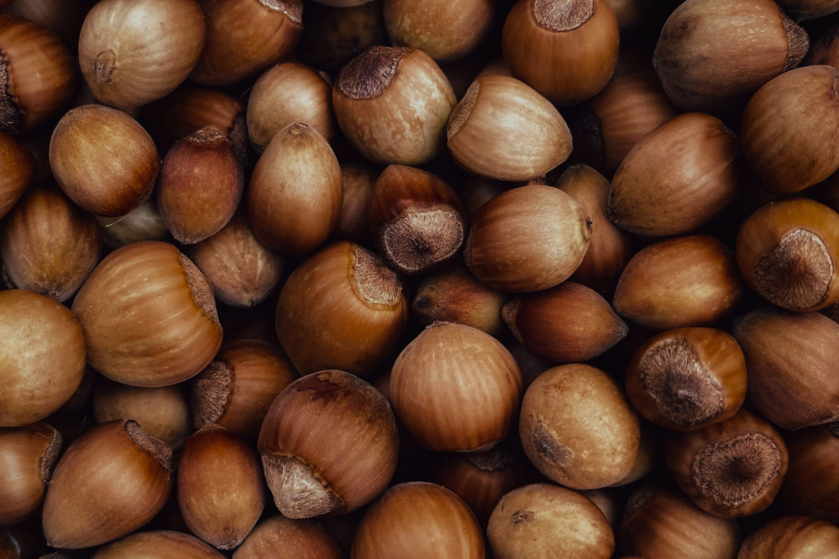 article bienfaits huile de noisette