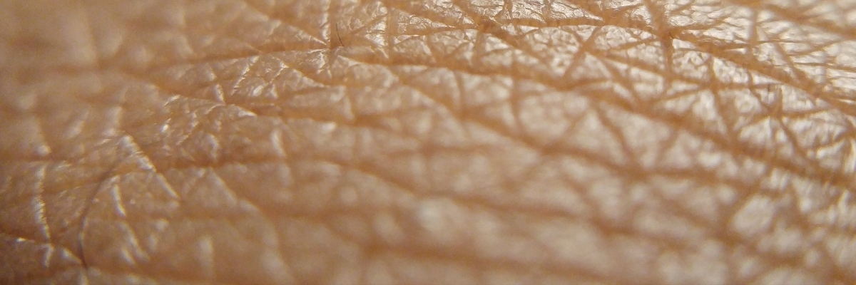 bienfaits visage huile de prune (2)