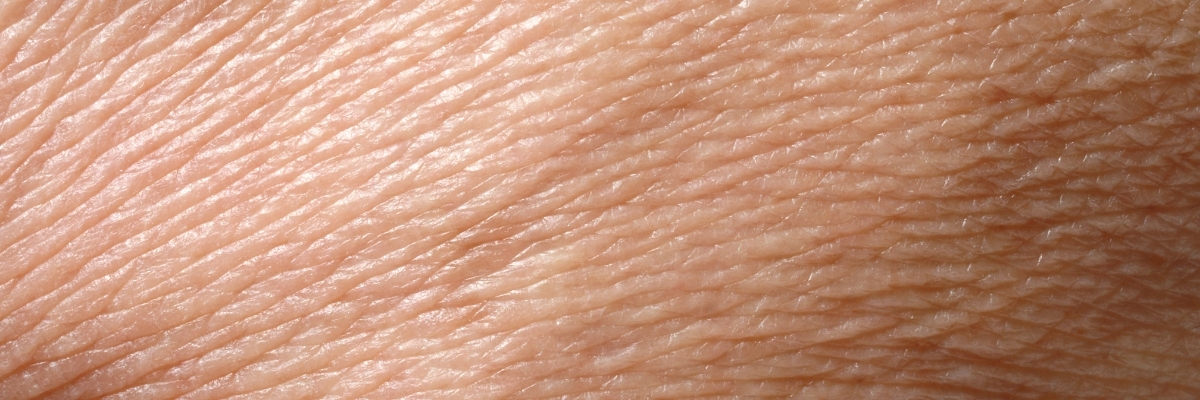 bienfaits visage huile de prune (5)