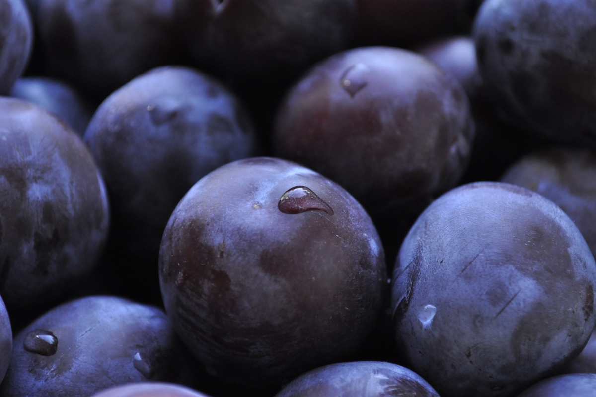 bienfaits visage huile de prune